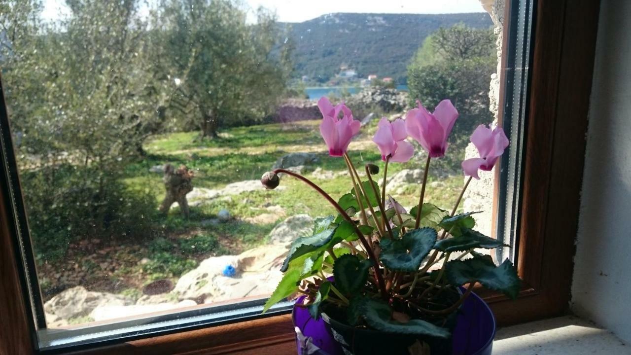 Holiday Home Strpuncina Luka  Exteriér fotografie