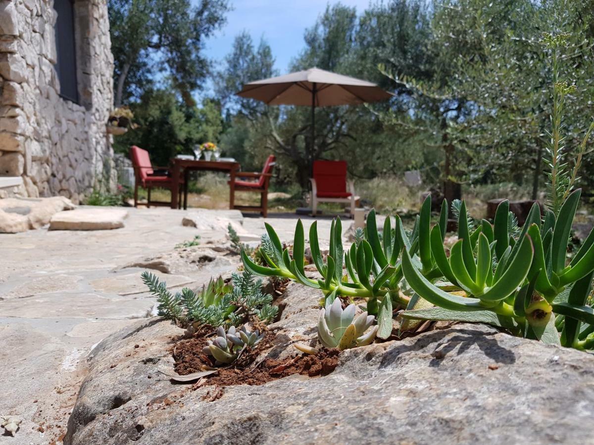 Holiday Home Strpuncina Luka  Exteriér fotografie